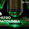 Núcleo de Nefropatologia Citolab