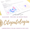 Núcleo de Citopatologia - - Ginecológica e Sistêmica. 